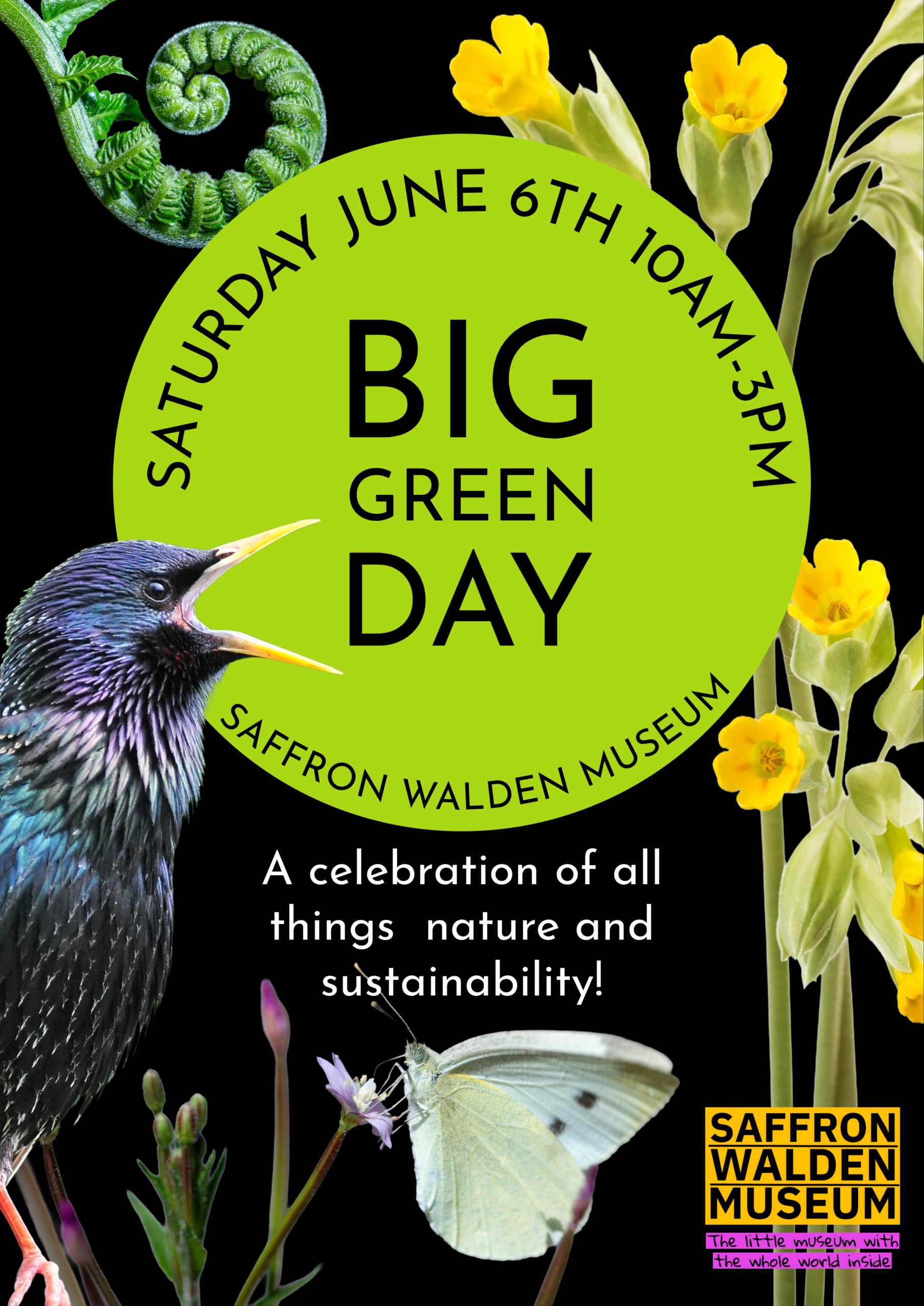 Big Green Day